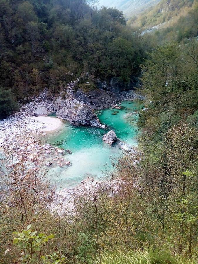 Sleeping With The Bees Kozjak Kobarid Bagian luar foto